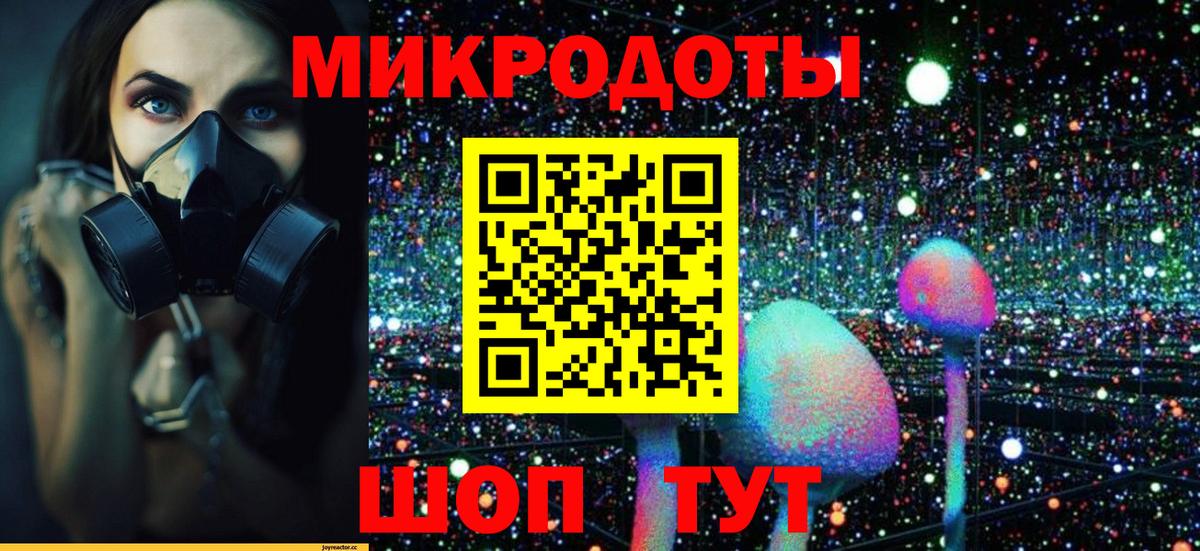 сколько стоит  Псилоцибиновые грибы мухоморы  Вход с VPN  Псилоцибиновые грибы Cubensis  Полысаево 